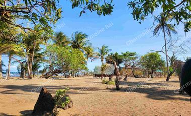 AGRICULTURAL LAND NEAR THE SEA
