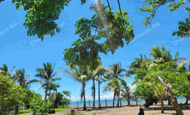 AGRICULTURAL LAND NEAR THE SEA