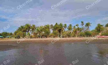 AGRICULTURAL LAND NEAR THE SEA
