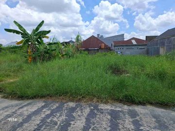 Tanah  murah di jl Nangka masuk jl Gambolo