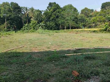 Dijual Tanah pekarangan di manisrenggo Klaten Jawa Tengah murah
