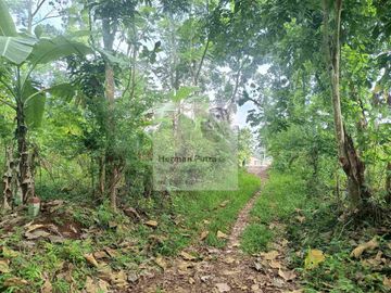 Tanah Tembalang Bulusan Undip