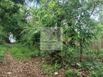 Tanah Tembalang Bulusan Undip