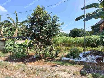 Tanah Darat di Leuwinanggung Tapos Depok