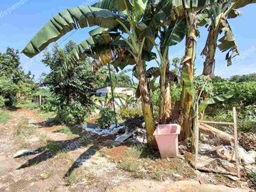 Tanah Darat di Leuwinanggung Tapos Depok
