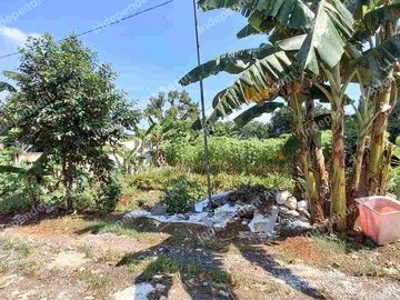 Tanah Darat di Leuwinanggung Tapos Depok