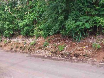 dijual tanah 19,80 are Kawasan Nyang Nyang beach pecatu 850 juta per are