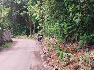 dijual tanah 19,80 are Kawasan Nyang Nyang beach pecatu 850 juta per are