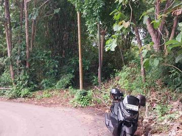 dijual tanah 19,80 are Kawasan Nyang Nyang beach pecatu 850 juta per are