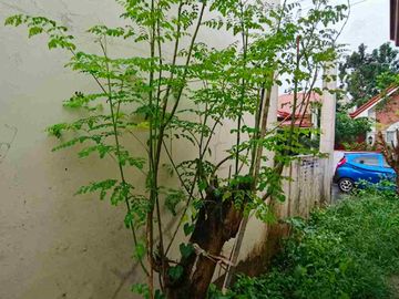 House and lot for sale in Antipolo