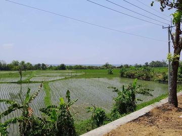 Tanah Tepi Pantai Di Kawasan Wisata Pantai Lebih