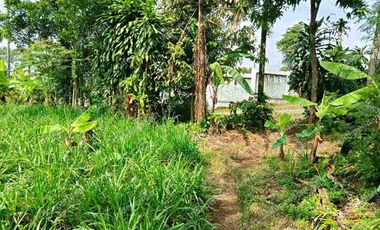 Tanah Darat dekat Perumahan di Cicurug Sukabumi