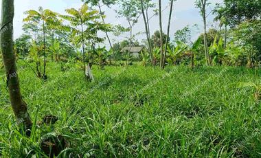 Tanah Darat dekat Perumahan di Cicurug Sukabumi