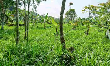 Tanah Darat dekat Perumahan di Cicurug Sukabumi
