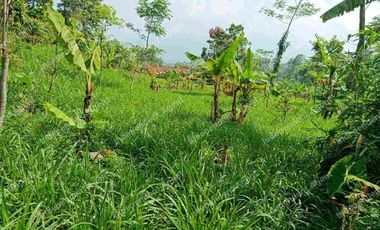 Tanah Darat dekat Perumahan di Cicurug Sukabumi