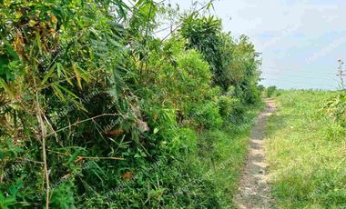 Tanah Darat dekat Perumahan di Cicurug Sukabumi