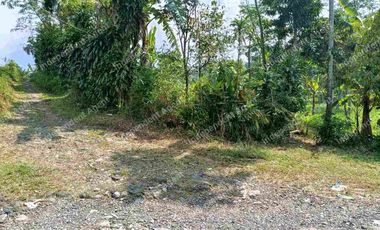 Tanah Darat dekat Perumahan di Cicurug Sukabumi