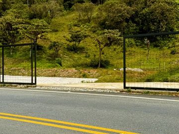 LOTE - MALL A BORDO DE VÍA LAS PALMAS