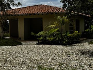 LOTE - MALL A BORDO DE VÍA LAS PALMAS