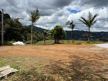 Lote Serena x 3 📍 Alto de Palmas