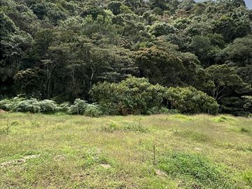 Lote Serena x 3 📍 Alto de Palmas