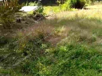 Vendo finca como lote en el municipio de san vicente .