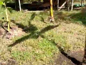 Vendo finca como lote en el municipio de san vicente .