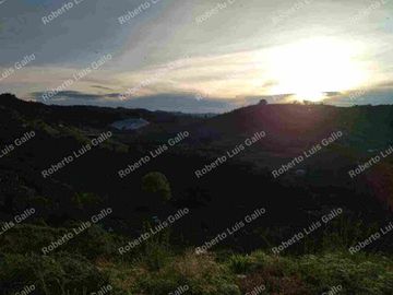 Vendo finca como lote en el municipio de san vicente .