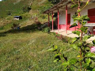 Vendo finca como lote en el municipio de san vicente .