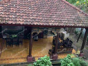 Dijual Rumah Antik Luas 737 m2 ada Joglo / Pendopo sangat cocok untuk Guest House