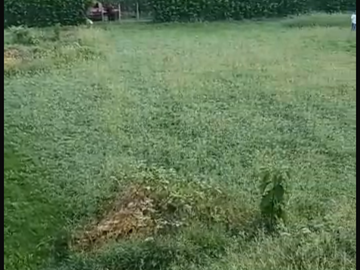 Venta de Lote en Sopetran Antioquia