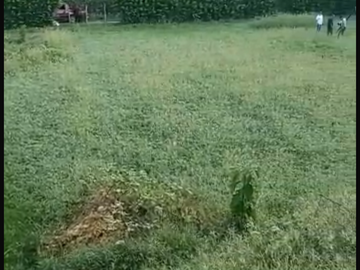 Venta de Lote en Sopetran Antioquia