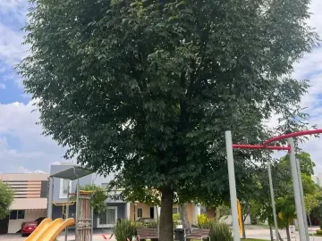 🏡 OPORTUNIDAD ÚNICA!!! ¡Tu próxima inversión inteligente en GUADALAJARA! ZONA ZAPOPAN!!!