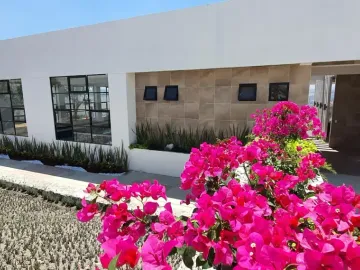 Departamento Lomas del Pedregal, Excelente Opción con Amenidades Premium:Alberca Techada climatizada, Casa Club con Salon Uso Multiples, Palapas