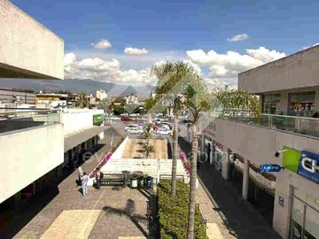 RENTA DE LOCALES EN PLAZA NOVUM JIUTEPEC
