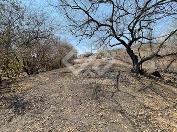 TERRENO EN VENTA EN TEQUESQUITENGO MORELOS