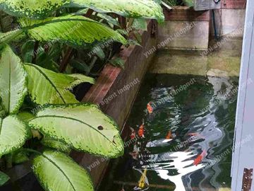 rumah jual ada kolam ikan diLegenda wisata cibubur