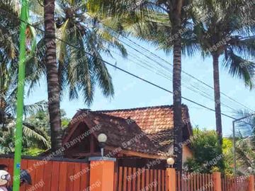 Dijual Tanah Bonus Rumah Osing & Gazebo – Paspan, Glagah Banyuwangi