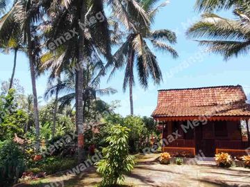 Dijual Tanah Bonus Rumah Osing & Gazebo – Paspan, Glagah Banyuwangi