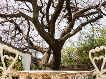 CASA SOLA EN VENTA, AL NORTE DE CUERNAVACA MOR. EN UN NIVEL, CON ALBERCA Y JARDIN