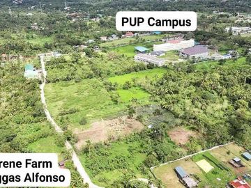 378sqm and 412sqm LOT for SALE in ALFONSO CAVITE, NEAR TAGAYTAY, National Road, Tagaytay ByPass Highway and PUBLIC MARKET