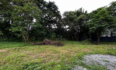 For Sale 561 sqm Vacant Lot in Ayala Hillside Estates, QC