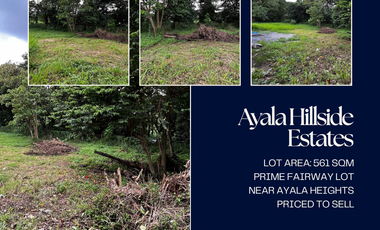 For Sale 561 sqm Vacant Lot in Ayala Hillside Estates, QC