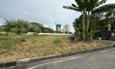 Palms Pointe Alabang | Residential Lot For Sale- #9194