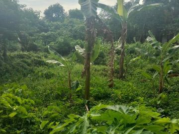 Investasi Langka! Dijual Penginapan Strategis di Jl. Protokol Makassar–Maros, Hanya 3 Km dari Bandara Sultan Hasanuddin