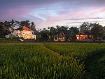 Luxury 4-Bedroom Villa for 12 months Rental close to Ubud - Available from September 2026