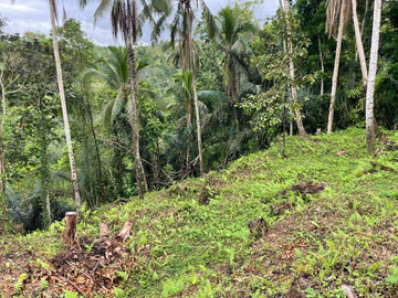 Stunning River and forest view site for sale. Regular shape with direct access off JL Raya Kendran. 31 are freehold.