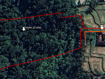 Stunning River and forest view site for sale. Regular shape with direct access off JL Raya Kendran. 31 are freehold.