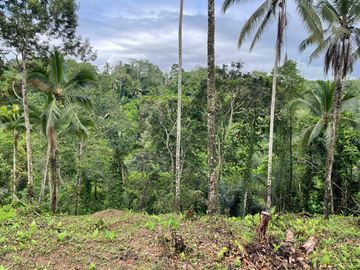 Stunning River and forest view site for sale. Regular shape with direct access off JL Raya Kendran. 31 are freehold.