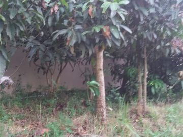 Dijual Tanah Kavling Komersial di Tanjungsari Sumedang (Pinggir Jalan Utama-Cocok untuk Usaha)